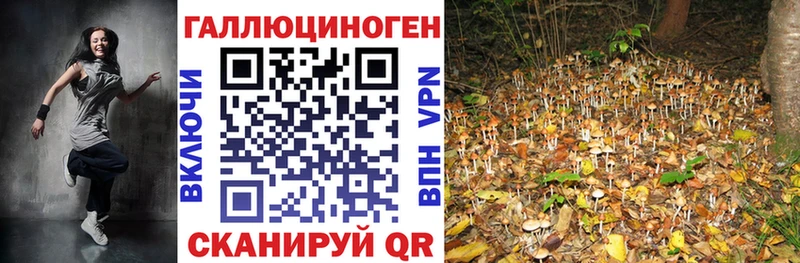 Купить  Кораблино  Галлюциногенные грибы GOLDEN TEACHER 